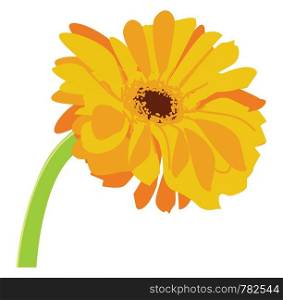 A picture of a daisy with yellow and orange petals, vector, color drawing or illustration.