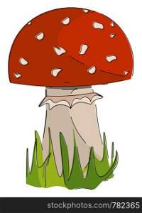 A picture of mushroom in red color vector color drawing or illustration