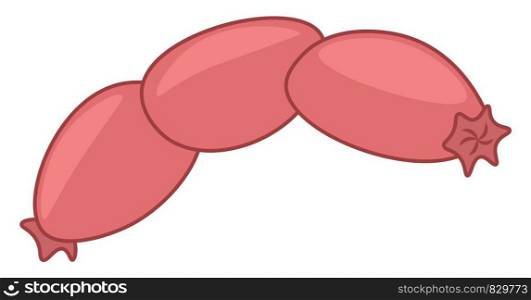 A piece of sausage vector or color illustration