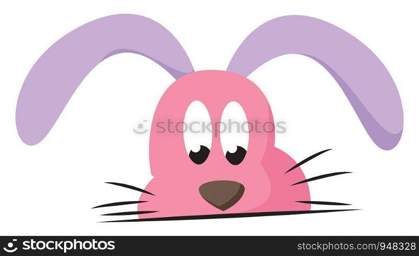 A pink rabbit with long purple oval-shaped ears bent downward, black whiskers, and with eyes rolled down, looks unhappy, vector, color drawing or illustration.