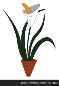 A pot of white flower which is very sad, vector, color drawing or illustration.