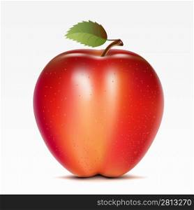 A red apple on a white background