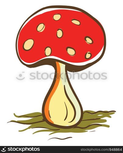 A red color mushroom with spots on it, vector, color drawing or illustration.