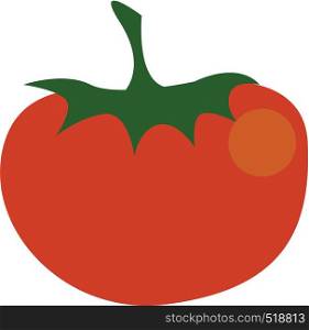 A red colored fruit resembling a tomato vector color drawing or illustration
