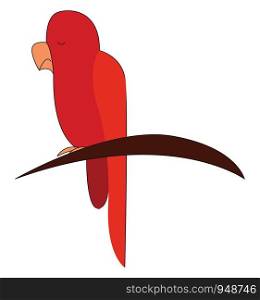 A red parrot sitting on a tree branch, vector, color drawing or illustration.