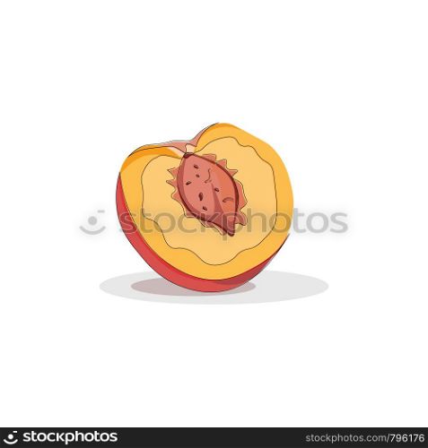 A ripe peach sliced open, vector, color drawing or illustration.