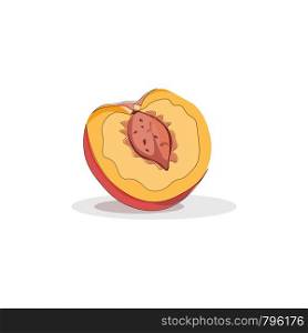 A ripe peach sliced open, vector, color drawing or illustration.