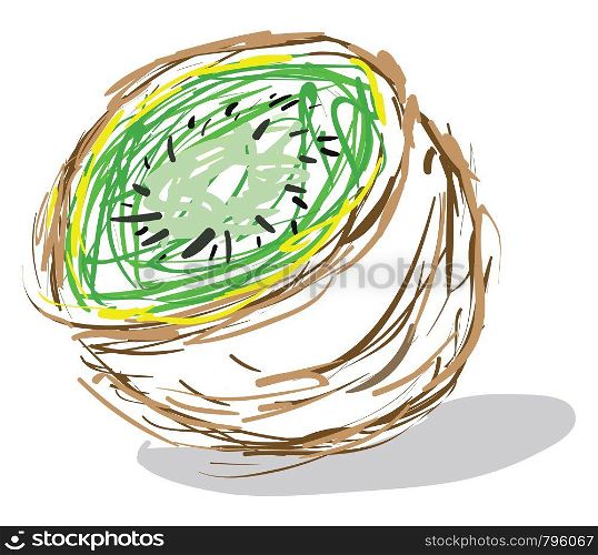A rough sketch of a kiwi fruit with green core and seeds, vector, color drawing or illustration.