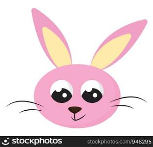 A round face of a rabbit with two long oval ears, whiskers, inverted triangular-like nose, and with eyes rolled down is smiling, vector, color drawing or illustration.