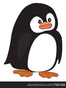 A sad little penguin with big orange feet and an orange beak, vector, color drawing or illustration.