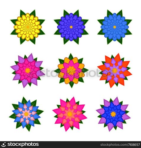 A set of beautiful colorful flowers. Isolated on white background. Nine variants. Suitable for design.. A set of beautiful colorful flowers. Isolated on white background. Nine variants. Suitable for design..