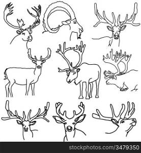 A set of deer, elk, and goats, vector illustration.
