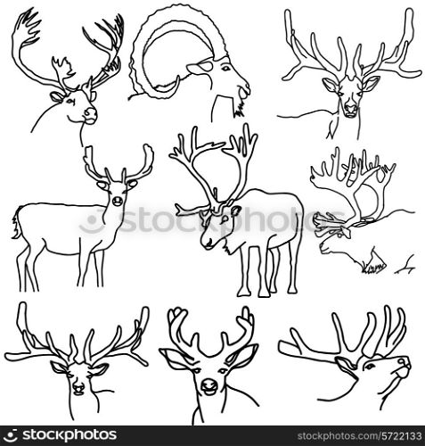 A set of deer, elk, and goats, vector illustration.