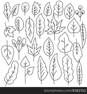 A set of doodle leaves of various shapes and sizes, an outline leaf with different venation and leaf blade shape vector illustration for design