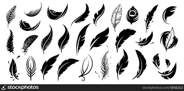 A set of drawn vector bird feathers.. A set of drawn vector bird feathers