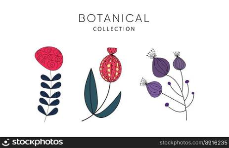 A set of hand drawn painted botaic design elements. Vector Eps10. A set of hand drawn painted botaic design elements.