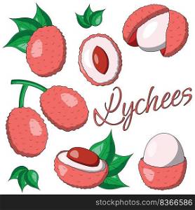 A set of painted exotic fruits - Lychee. Draw illustration in color