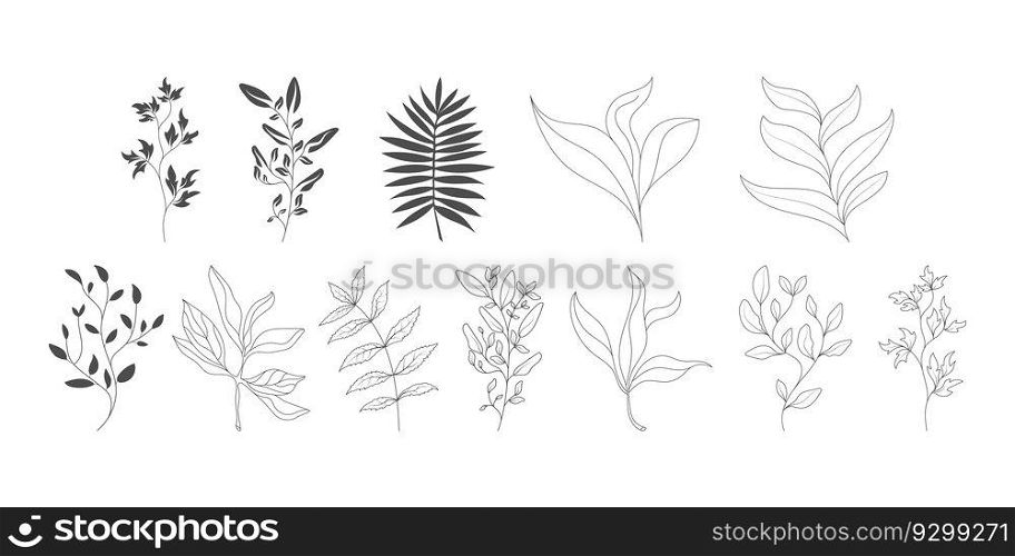 A set of plant contours and silhouettes. templates for applications, scrapbooking, creative and thematic design. Flat style