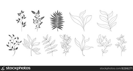 A set of plant contours and silhouettes. templates for applications, scrapbooking, creative and thematic design. Flat style