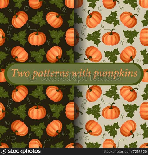 A set of two bright colorful patterns. Ripe pumpkin fruits with leaves. Thanksgiving Day. Vector.