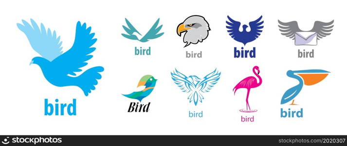 A set of vector Bird logos on a white background.. A set of vector Bird logos on a white background