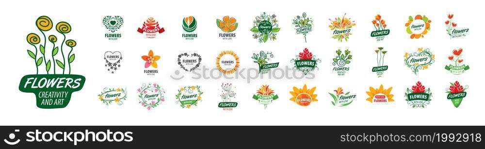 A set of vector logos Flowers on a white background.. A set of vector logos Flowers on a white background