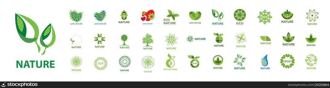 A set of vector logos of eco and nature on a white background.. A set of vector logos of eco and nature on a white background