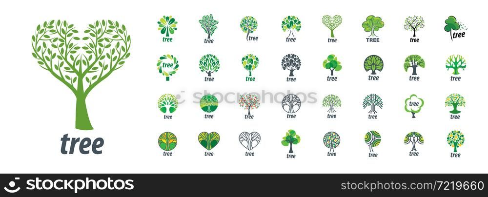 A set of vector logos with the image of a tree.. A set of vector logos with the image of a tree