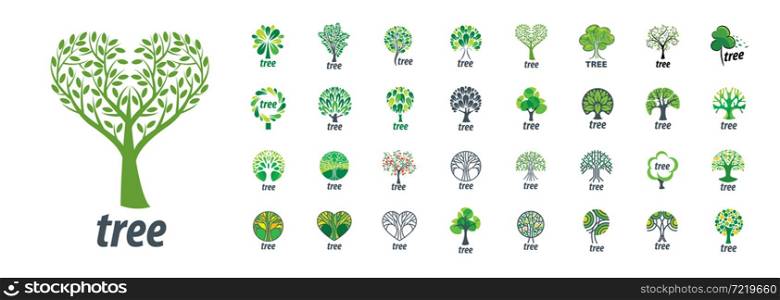 A set of vector logos with the image of a tree.. A set of vector logos with the image of a tree