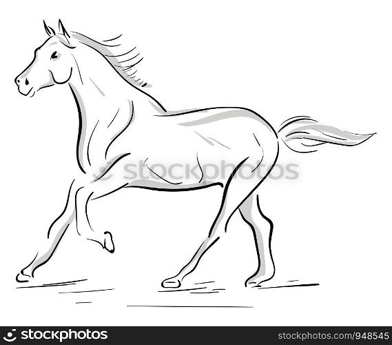 A silhouette of a running horse in gray, vector, color drawing or illustration.