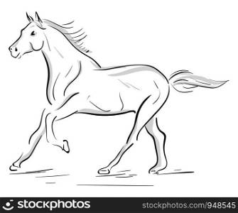 A silhouette of a running horse in gray, vector, color drawing or illustration.
