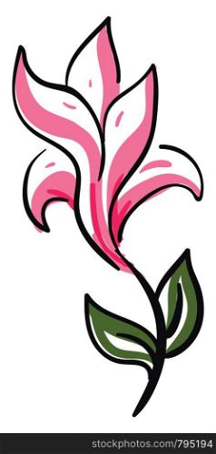 A sketch of a beautiful pink flower with green leaves vector color drawing or illustration