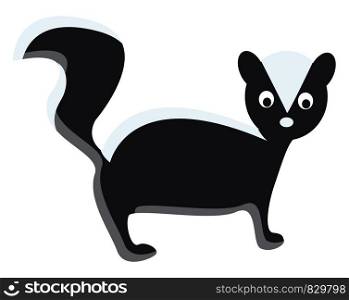 A skunk with long tail vector or color illustration