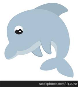 A small cute dolphin in grey colour which is jumping , vector, color drawing or illustration.