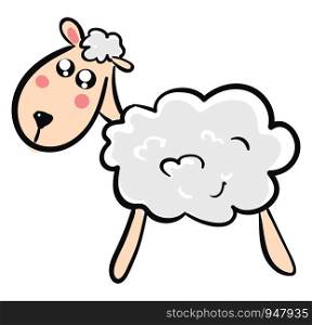 A small cute sheep which is very thin , vector, color drawing or illustration.