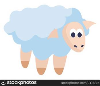 A small sheep with lot of white wool, vector, color drawing or illustration.