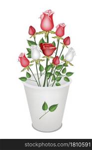 A Symbol of Love, Bright and Beautiful Bouquet of White and Red Roses in Bucket Isolated on White Background