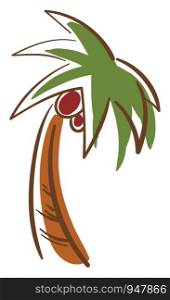 A tall palm tree cartoon with green leaves and red palm fruit, vector, color drawing or illustration.