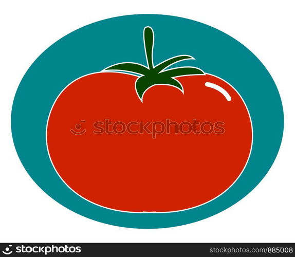A tasty tomato, illustration, vector on white background.