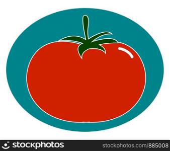 A tasty tomato, illustration, vector on white background.