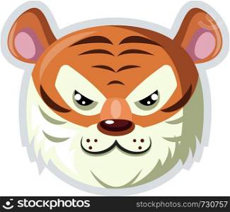 A Tiger face with white fur around in white background, vector, color drawing or illustration.
