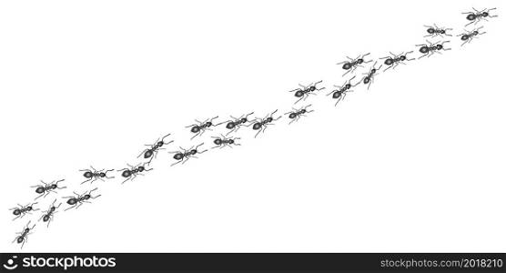 A trail of ants. Insects march along the line. Vector illustration. A trail of ants. Insects march along the line. Vector