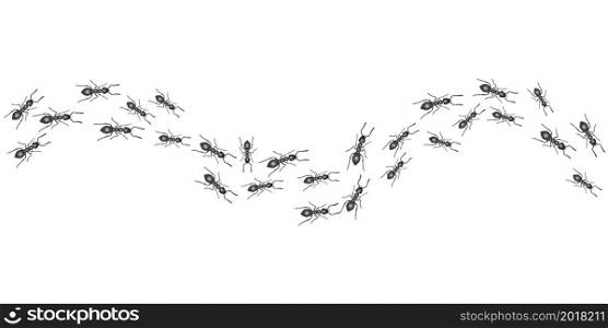 A trail of ants. Insects march along the line. Vector illustration. A trail of ants. Insects march along the line. Vector