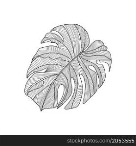 A tropical monstera with a single leaf in a modern linear style. A hand-drawn exotic illustration of a summer leaf. Philodendron leaf with line art ink drawing. Isolated on white, vector