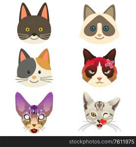 A vector illustration of Different Cat Emoji Expression