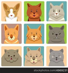 A vector illustration of Different Cats Avatars and Expression