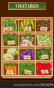 A vector illustration of Different Kinds of Vegetables in a Box