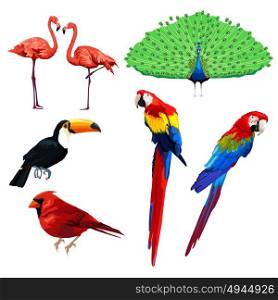 A vector illustration of different type of bird icons