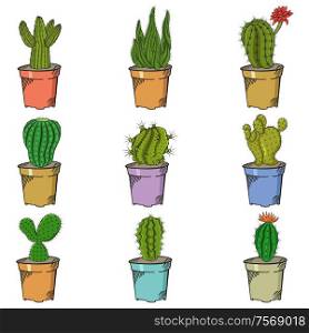 A vector illustration of different types of cactus