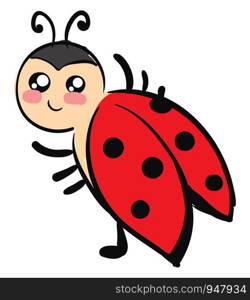 A very cute lady bug in red colour with pink cheeks , vector, color drawing or illustration.